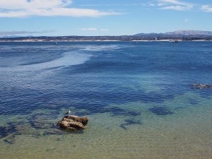montereycalifornia-800x600